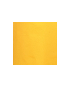 EXAMPLECOLOR12032024